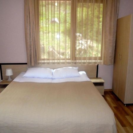 Ивелия Къща За Гости Dospat Room photo