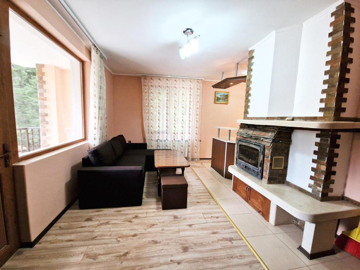 Ивелия Къща За Гости Dospat Exterior photo
